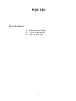 tiểu luận môn phân tích tài chính lập báo cáo tài chính và phân tích