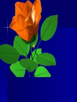 dung cum chu vi de mo rog cau