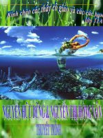 Bài 39: Các nhân tố ảnh hưởng đến sinh trưởng và phát triển ở động vật (tt)