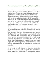 Vai trò của enzim trong thực phẩm