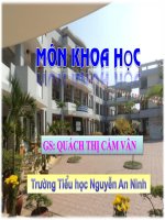 Khoa học bài vật dẫn nhiệt và vật cách nhiệt