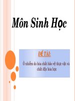 bài của học sinh lớp 9/2 trường Trường Sơn