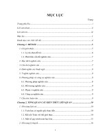 Quy trình toán học hóa để phát triển các năng lực về thay đổi và các mối quan hệ của học sinh mười lăm tuổi