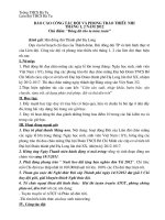 Báo cáo Đội tháng 1,2