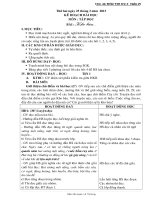 Giáo án Tiếng Việt tuần 28