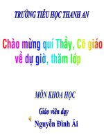 nhu cau nước của thực vật