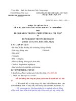 mẫu báo cáo thành tích năm học 2012-2013