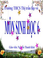 bài 47. thực vật bảo vệ đất và nguồn nước