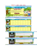 Violympic V16-L5 NH 2012-2013