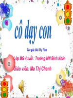 CO DAY CON (PHƯƠNG TIỆN GIAO THÔNG)