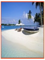 bài 48: Vai trò của thực vật đối với động vật và đối với đời sống con người