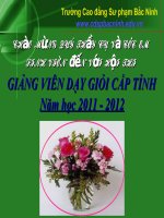 VĂN học VIỆT NAM THẾ kỉ XIII – GIỮA THẾ kỉ XIX