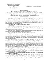 Hướng dẫn Đoàn thanh niên tham gia xây dựng nông thôn mới 2013