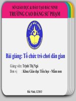 bài giảng tổ chức trò chơi dân gian