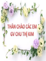 ôn thi học kì ii