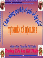 TNXH: PHÒNG TRÁNH NGÃ KHI Ở TRƯỜNG