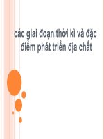 các thời kỳ phát triển