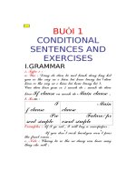 conditional sentences and exercises