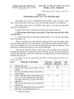 Bao cao cong tac y te truong hoc