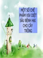 chế phẩm vi sinh diệt trừ sâu bệnh hại cây trồng