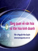 tổng quan về văn hóa và văn hóa kinh doanh