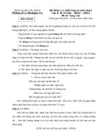 ĐỀ THI HSG CẤP HUYỆN ( 2012-2013) MÔN TIẾNG VIỆT LỚP 5