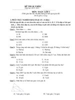 Đề kiểm tra HSG Toán - Tiếng Việt lớp 3