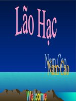 CHI TIẾT BÀI LÃO HẠC CỦA NAM CAO
