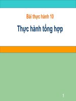 ANC Tin 7 - Bài thực hành 10