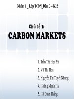 tiểu luận thị trường tài chính carbon markets