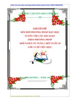 CHUYÊN ĐỀ: ĐỔI MỚI PHƯƠNG PHÁP DẠY HỌC TUYỂN TẬP CÁC BÀI SOẠN THEO PHƯƠNG PHÁP MỚI VINEN  TỪ TUẦN 1 ĐẾN TUẦN 10LỚP 2 CẤP TIỂU HỌC