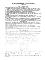 De cuong on thi hoc ki 2 mon van 9