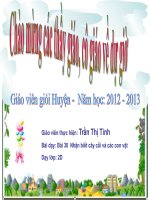 Bai 30 nhan biet cay coi va cac con vat