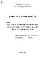 phân tích tài chính tại công ty cổ phần xây dựng - đầu tư kinh doanh nhà hà nội