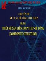 CHUYÊN ĐỀ THIẾT KẾ SÀN LIÊN HỢP THÉP BÊ TÔNG (COMPOSITE STRUCTURE)