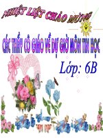 bai 21 trinh bay co dong bang bang