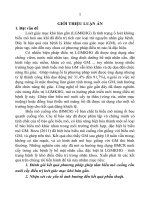 Nghiên cứu sử dụng tấm biểu mô cuống rốn nuôi cấy điều trị loét giác mạc khó hàn gắn