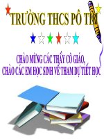 Trinh Bay Co Dong Bang Bang