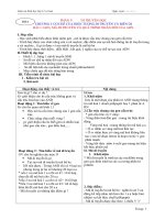 Giáo án Sinh Học lớp 12 cơ bản