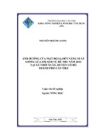 Ảnh hưởng của mật độ đến năng suất giống lúa OM 4218 vụ hè thu năm 2013 tại xã thới xuân, huyện cờ đỏ thành phố cần thơ