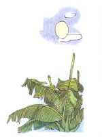 Trăng ơi...từ đâu đến? Tập đọc 4