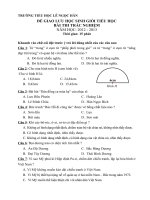 Đề thi Học sinh Giỏi Môn Toán lớp 5 - TH Lê Ngọc Hân - Hà Nội