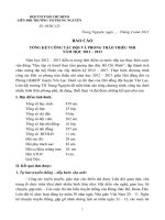 Báo cáo tổng kết Đội 2012 - 2013