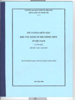 Đề cương môn học : Khu vực kinh tế phi chính thức ở Việt Nam