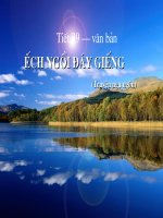 Ếch ngồi đáy giếng NV6