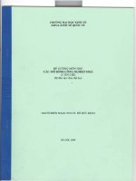 Đề cương môn học : Các mô hình công nghiệp hóa