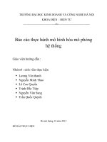 Báo cáo thực hành mô hình hóa mô phỏng hệ thống truyền đạt