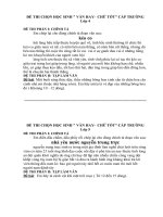 Đề thi Van hay chữ tốt lớp 5