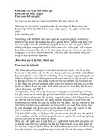 tham luan daiu hoi chi bo