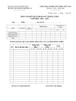 Mẫu BC khảo sát tháng